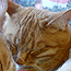 Serie: image 3 0f 12 thumb